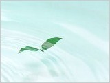 癒される？
